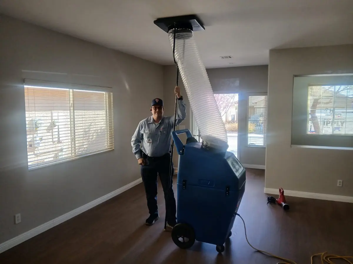 Professional Dryer Vent Cleaning work inside a Lakewood Park home
